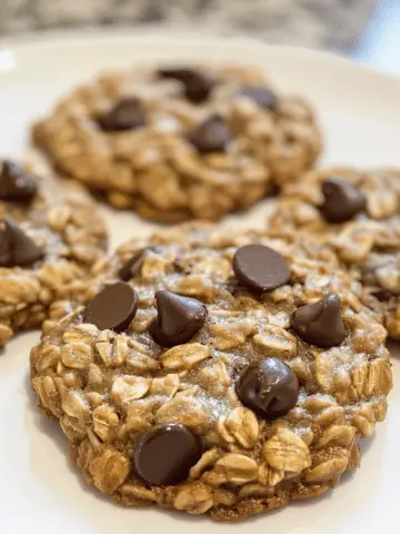 The Best Oatmeal Chocolate Chip Cookies