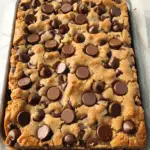 Peanut Butter Chocolate Chip Cookie Bars